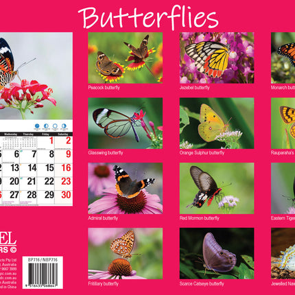 Butterflies - 2027 Rectangle Wall Calendar 16 Months Colorful Butterfly Photos image 2
