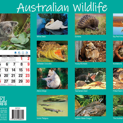 Australian Wildlife - 2027 Rectangle Wall Calendar 16 Months Animal Photography image 2