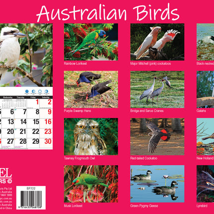 Australian Birds - 2027 Rectangle Wall Calendar 16 Months Birdwatching Photos image 2