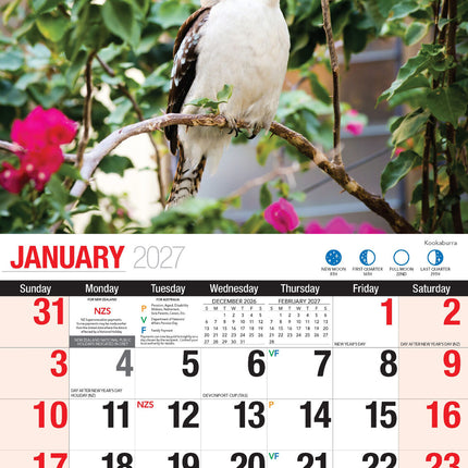 Australian Birds - 2027 Rectangle Wall Calendar 16 Months Birdwatching Photos image 3