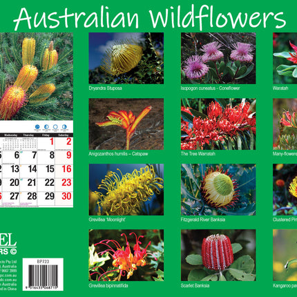 Australian Wildflowers - 2027 Rectangle Wall Calendar 16 Months Floral Flower image 2