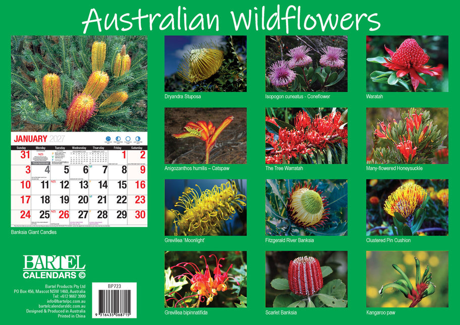 Australian Wildflowers - 2027 Rectangle Wall Calendar 16 Months Floral Flower image 2