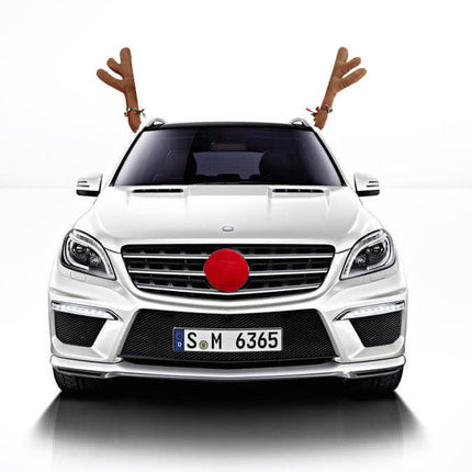 3PCS Christmas Car Truck Van Costume Brown Reindeer Antlers Red Nose Xmas Decor - Zmart Australia