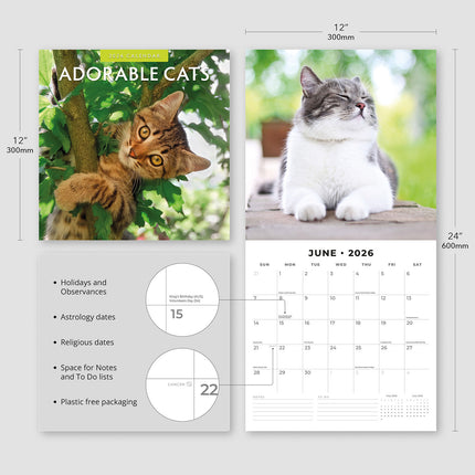 Adorable Cats 2026 Premium Square Wall Calendar