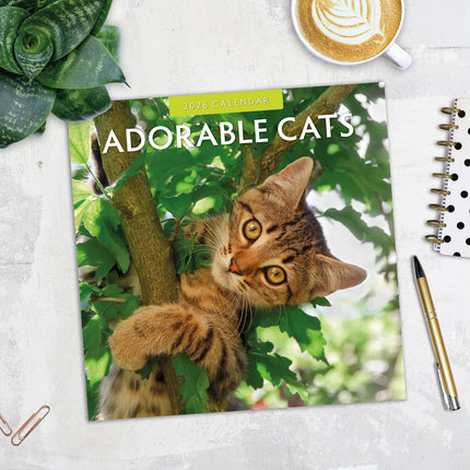 Adorable Cats 2026 Premium Square Wall Calendar