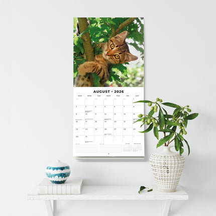 Adorable Cats 2026 Premium Square Wall Calendar