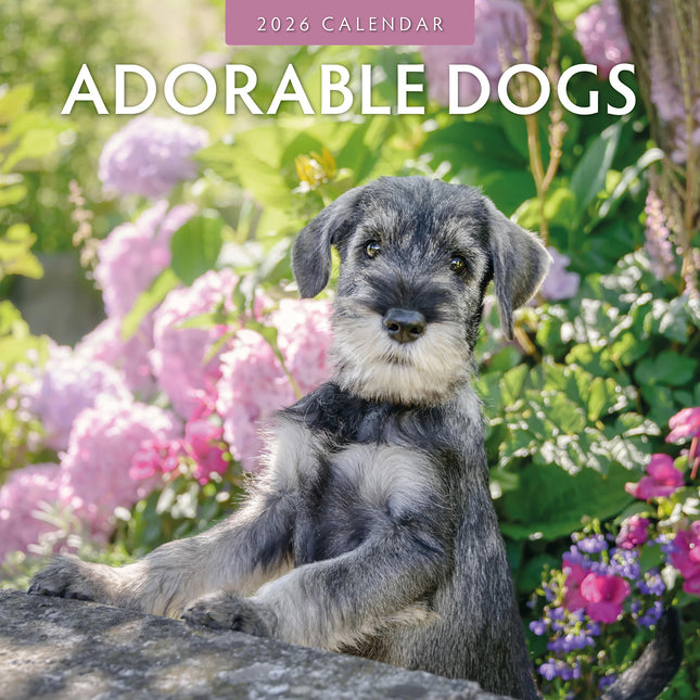 Adorable Dogs 2026 Premium Square Wall Calendar