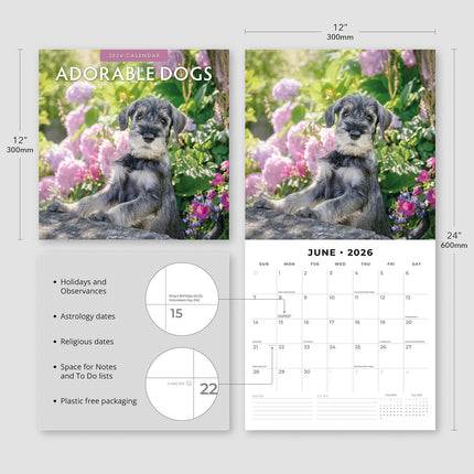 Adorable Dogs 2026 Premium Square Wall Calendar
