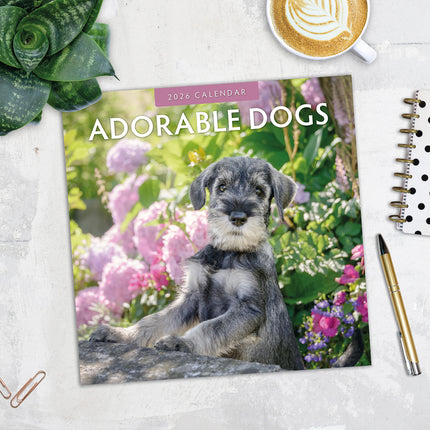 Adorable Dogs 2026 Premium Square Wall Calendar