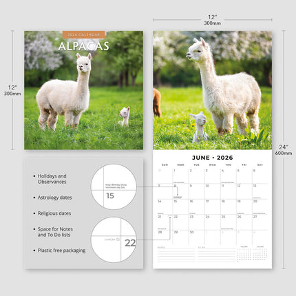 Alpacas 2026 Premium Square Wall Calendar
