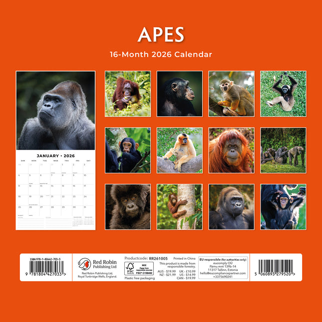 Apes 2026 Premium Square Wall Calendar