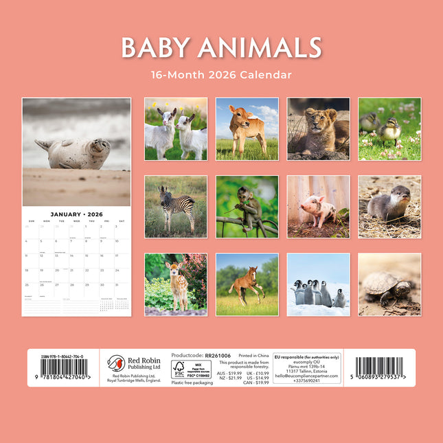 Baby Animals 2026 Premium Square Wall Calendar
