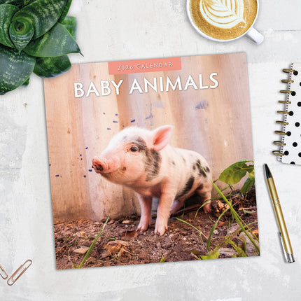 Baby Animals 2026 Premium Square Wall Calendar
