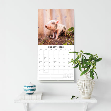 Baby Animals 2026 Premium Square Wall Calendar