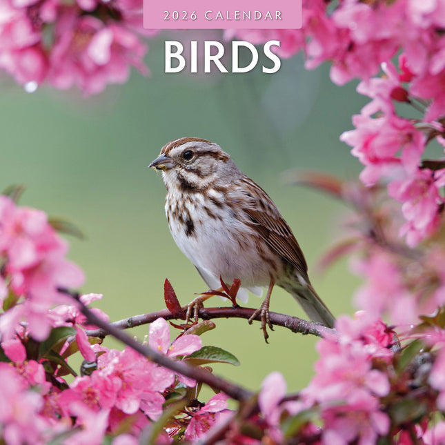 Birds 2026 Premium Square Wall Calendar