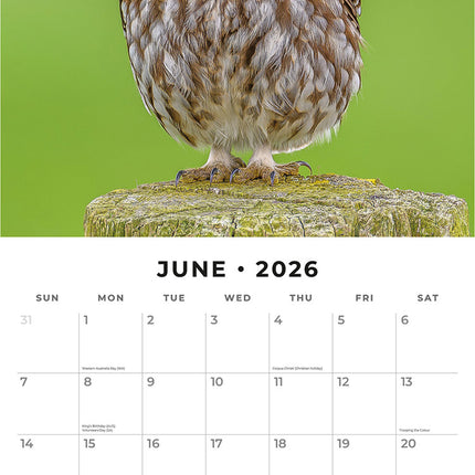 Birds 2026 Premium Square Wall Calendar