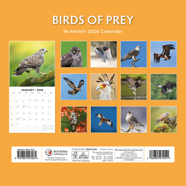 Birds Of Prey 2026 Premium Square Wall Calendar