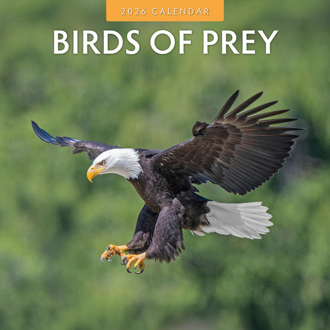 Birds Of Prey 2026 Premium Square Wall Calendar