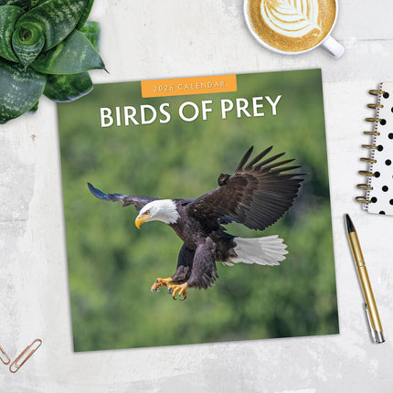 Birds Of Prey 2026 Premium Square Wall Calendar