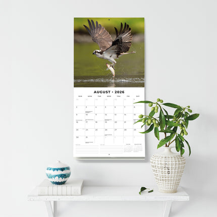 Birds Of Prey 2026 Premium Square Wall Calendar