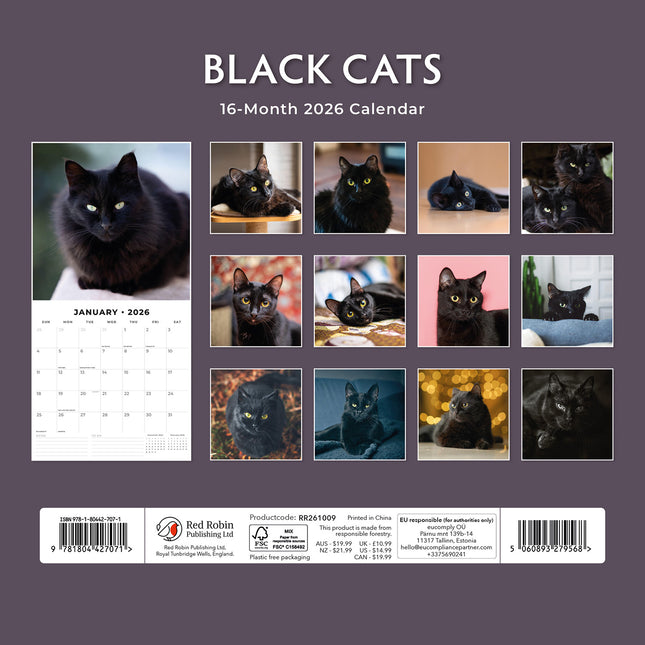 Black Cats 2026 Premium Square Wall Calendar