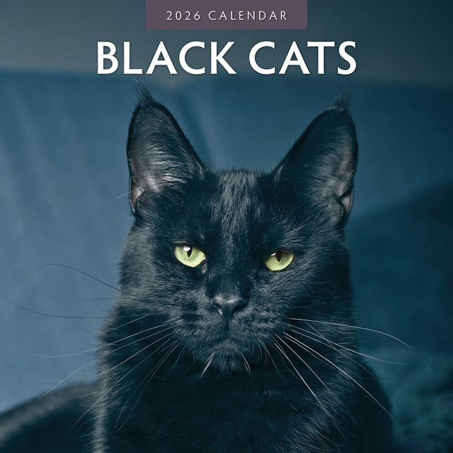 Black Cats 2026 Premium Square Wall Calendar