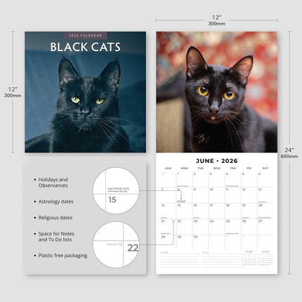 Black Cats 2026 Premium Square Wall Calendar