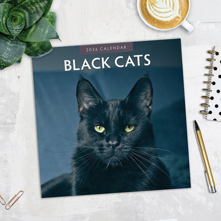 Black Cats 2026 Premium Square Wall Calendar