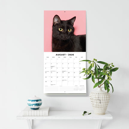 Black Cats 2026 Premium Square Wall Calendar