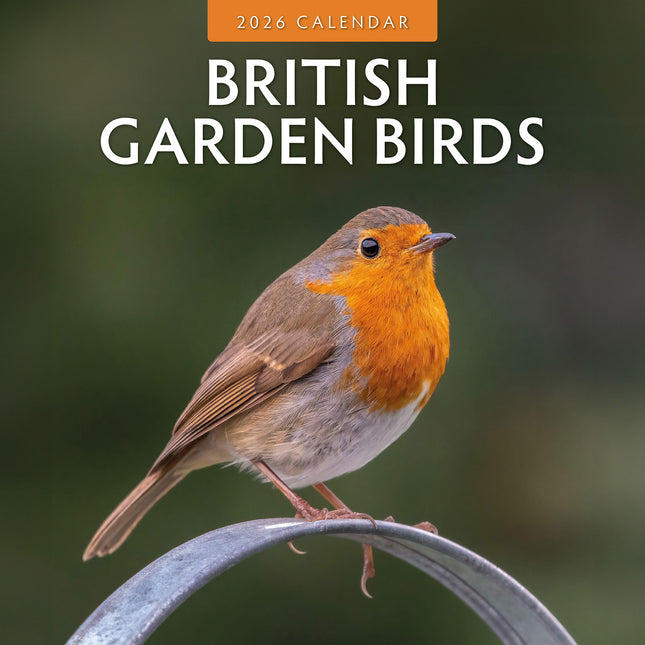 British Garden Birds 2026 Premium Square Wall Calendar