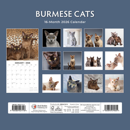 Burmese Cats 2026 Premium Square Wall Calendar