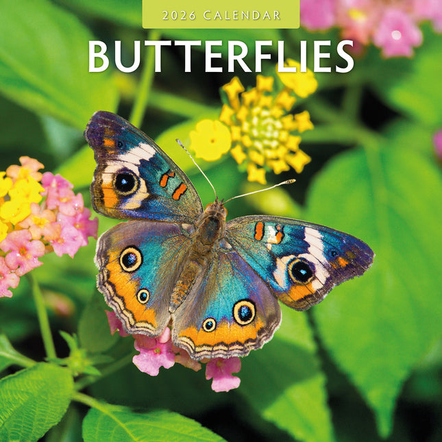 Butterflies 2026 Premium Square Wall Calendar