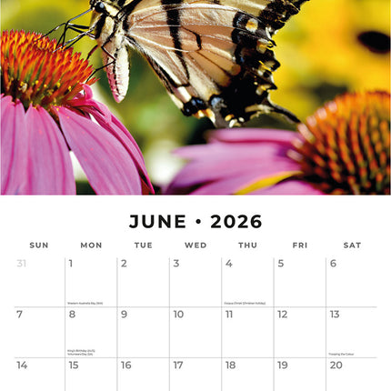 Butterflies 2026 Premium Square Wall Calendar