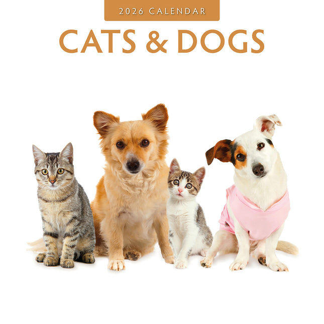 Cats And Dogs 2026 Premium Square Wall Calendar