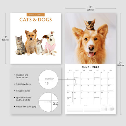 Cats And Dogs 2026 Premium Square Wall Calendar