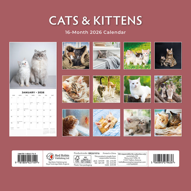 Cats And Kittens 2026 Premium Square Wall Calendar