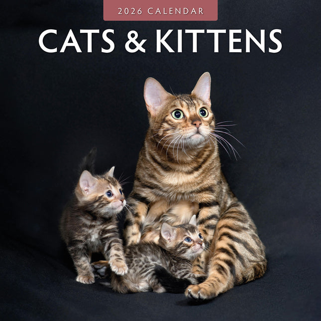 Cats And Kittens 2026 Premium Square Wall Calendar