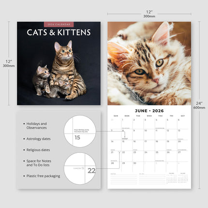 Cats And Kittens 2026 Premium Square Wall Calendar