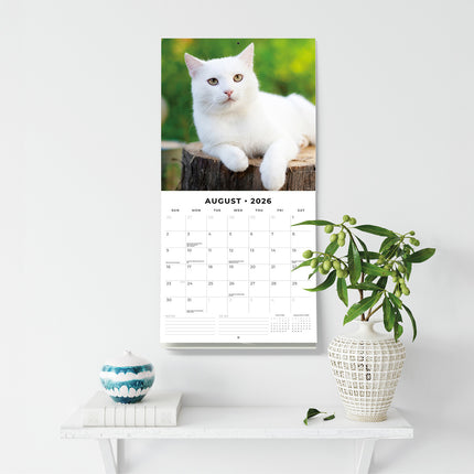 Cats And Kittens 2026 Premium Square Wall Calendar
