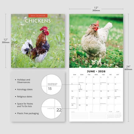 Chickens 2026 Premium Square Wall Calendar