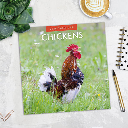 Chickens 2026 Premium Square Wall Calendar