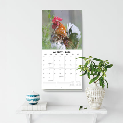 Chickens 2026 Premium Square Wall Calendar