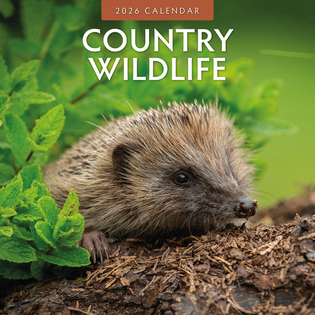 Country Wildlife 2026 Premium Square Wall Calendar