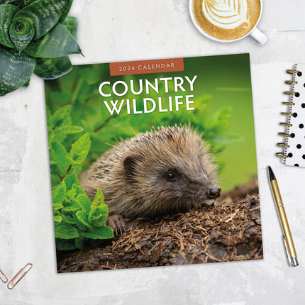 Country Wildlife 2026 Premium Square Wall Calendar