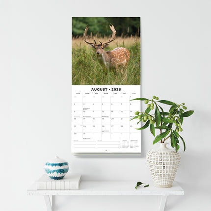 Country Wildlife 2026 Premium Square Wall Calendar