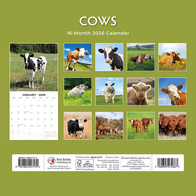 Cows 2026 Premium Square Wall Calendar