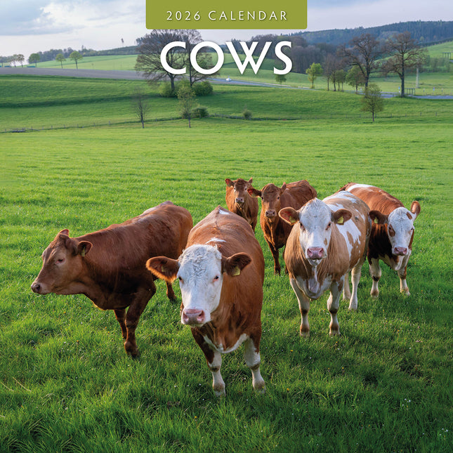 Cows 2026 Premium Square Wall Calendar
