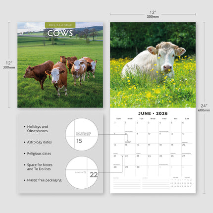 Cows 2026 Premium Square Wall Calendar