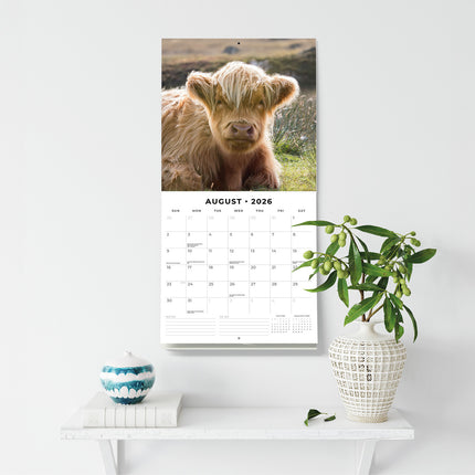 Cows 2026 Premium Square Wall Calendar