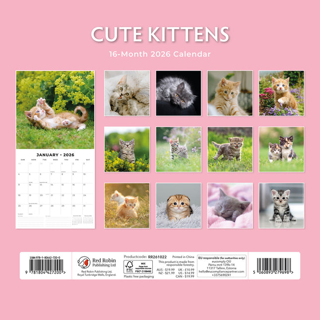 Cute Kittens 2026 Premium Square Wall Calendar